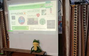 Le tele'grenouille se prépare tout doucement